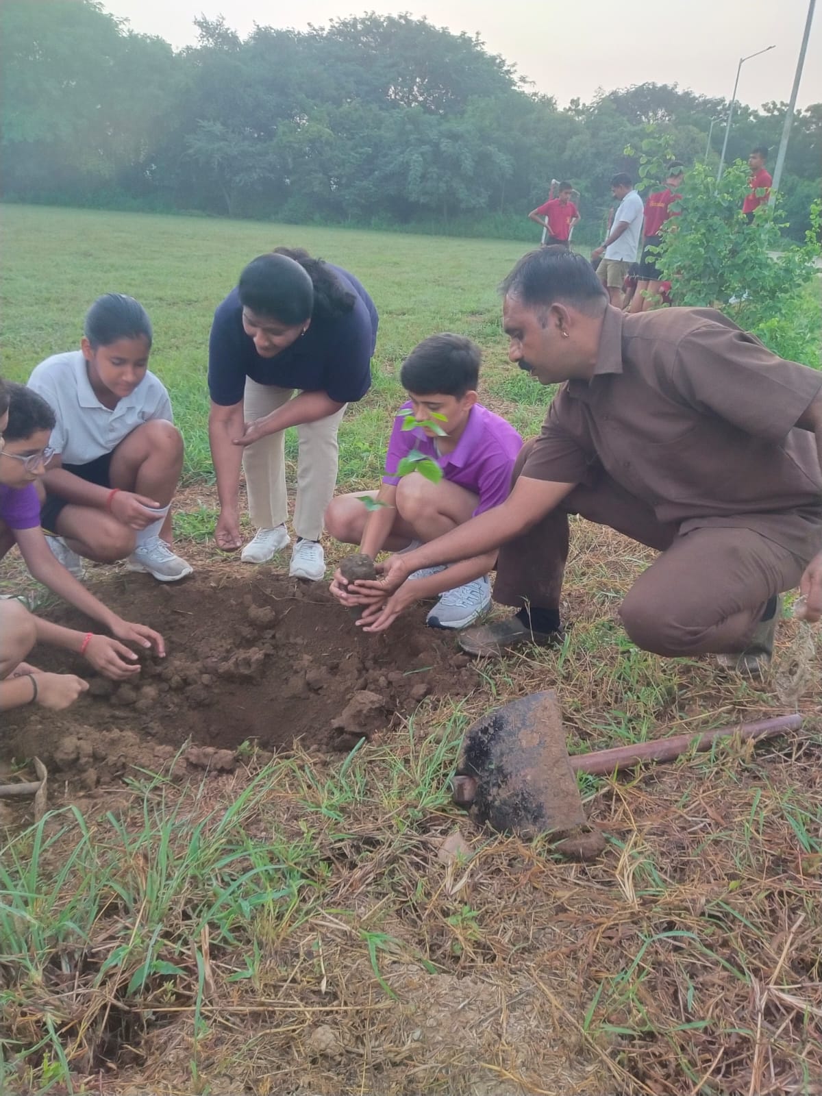 Tree Plantation drive